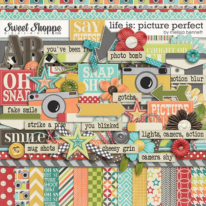 14mbennett-lifeis-pictureperfect-preview