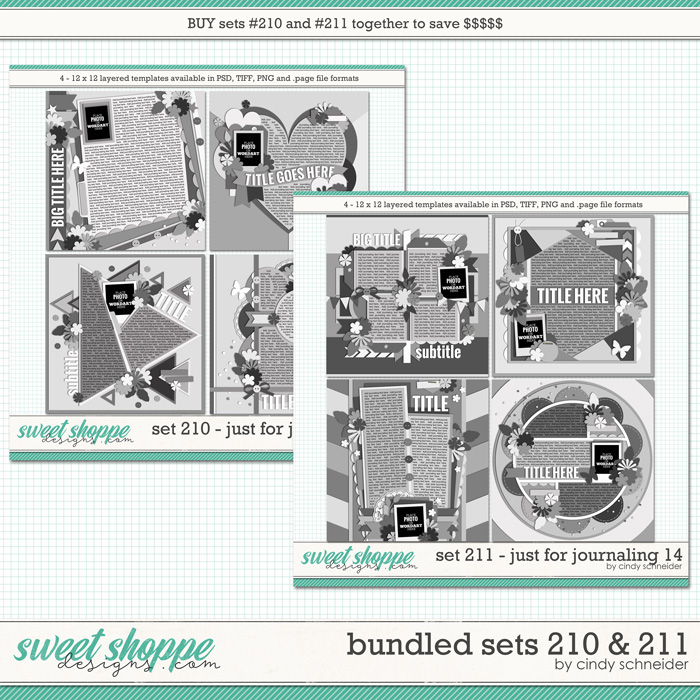 16cschneider-bundledset210-211-preview