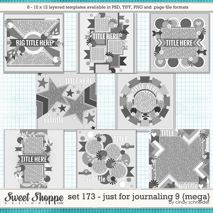17cschneider-set173-preview