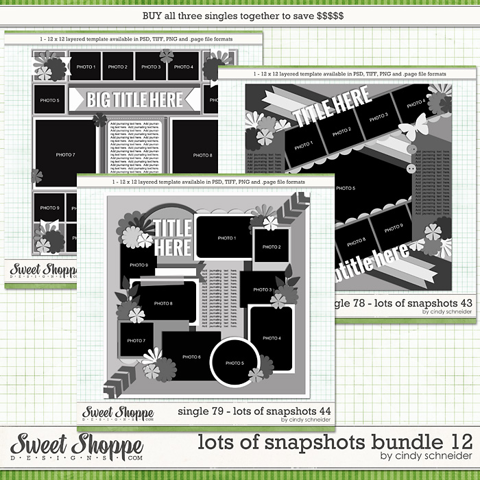 18cschneider-lotsofsnapshotsbundle12-preview