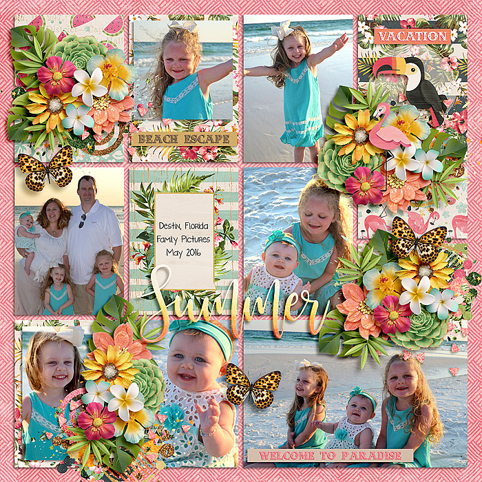 1Paradise_SSD_mrsashbaugh1