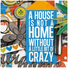 Mad House by Shawna Clingerman and Traci Reed