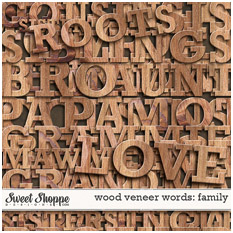 1WW_Wood001
