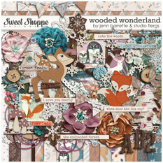 1WW_Wood013
