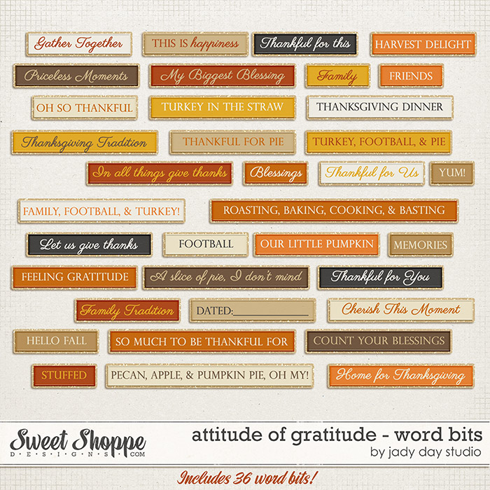 1jadyday-attitudeofgratitude-wb