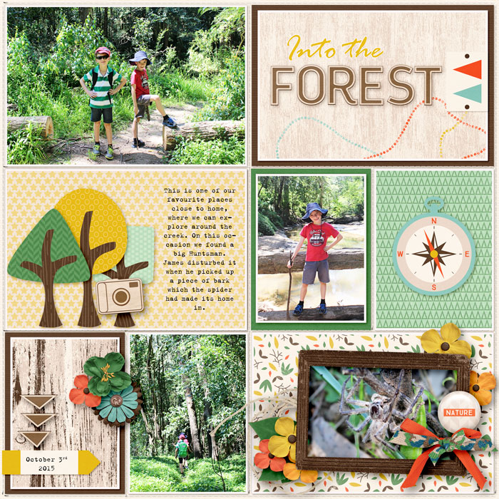 1jakInto-the-forest