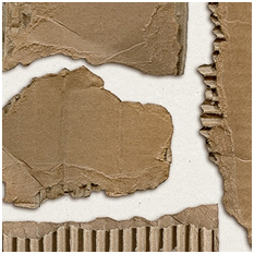 Cardboard Bits by Libby Pritchett