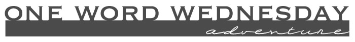 1ww-header-adventure