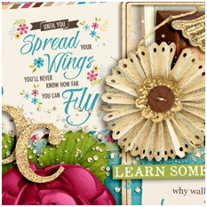 Spread Your Wings by Kristin Cronin-Barrow 