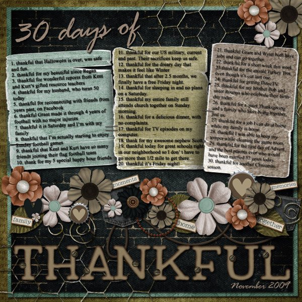 2009_30days