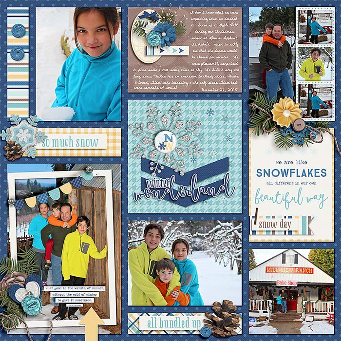 20151227_SnowAppleHill_WEB