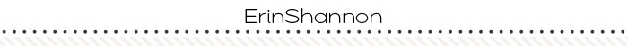 2016-blog-erinshannon