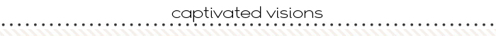 2016-blog-layoutseparator_captivated