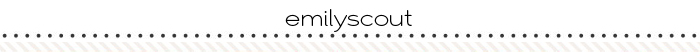 2016-blog-layoutseparator_emilyscout