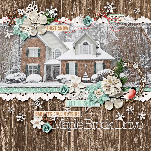 2017_0107_WinterHouse-w