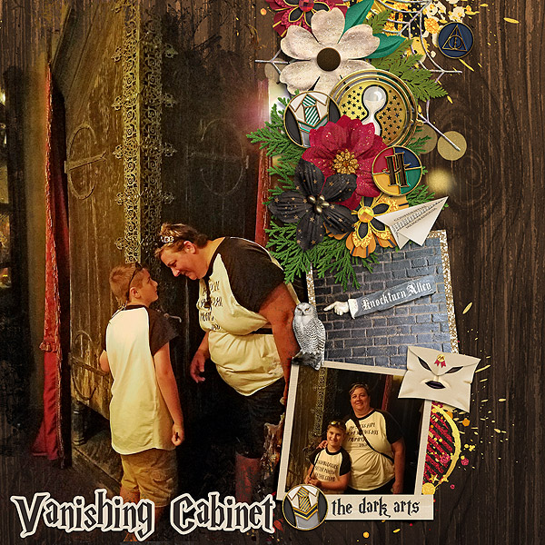 2017_VACATION_Vanishing-Cabinet_WEB