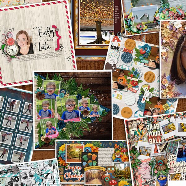 September's Passport to Crazy Spotlight