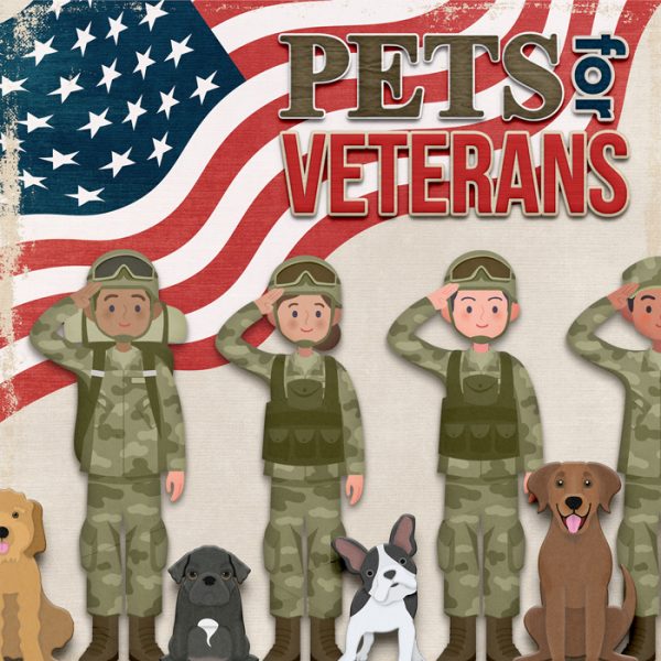 Pets for Veterans Featured Image