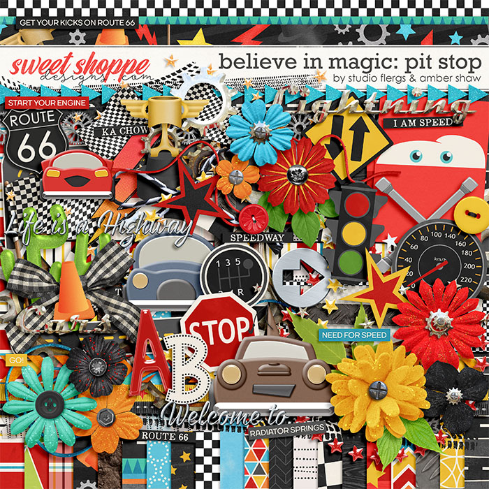 20ashawflergs-BIM-pitstop-preview