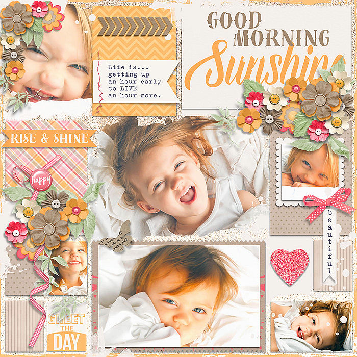 2cs-riseshine