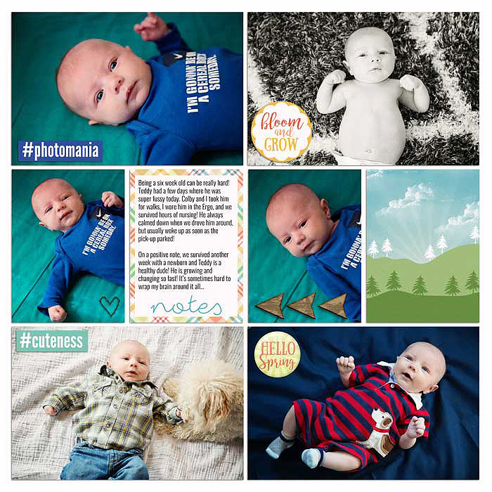 3-14-week11-right