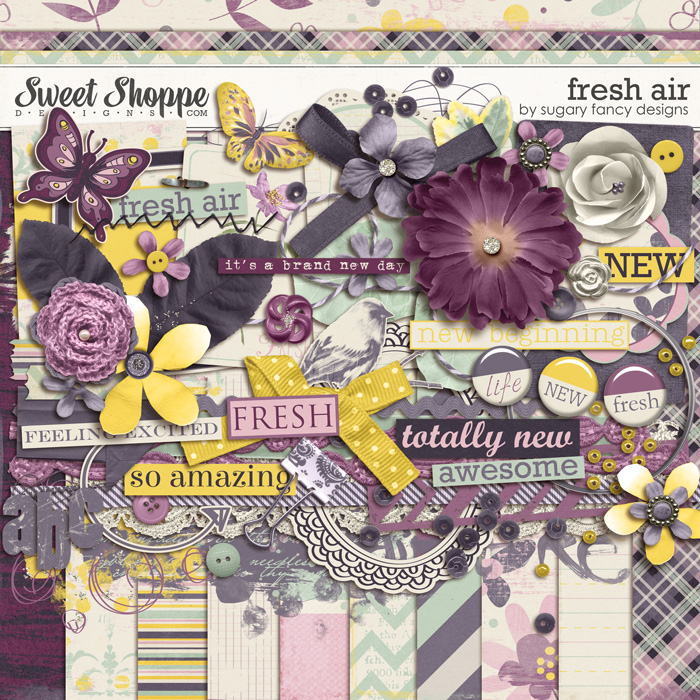 3_sfancy-freshair-preview