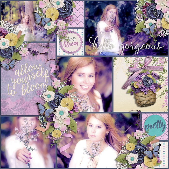 3wisteria_ella_700