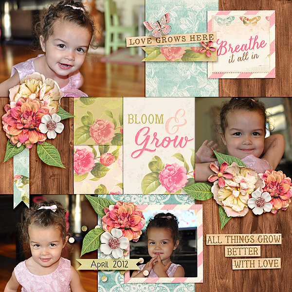 4-PicturePerfect141_template1-copy