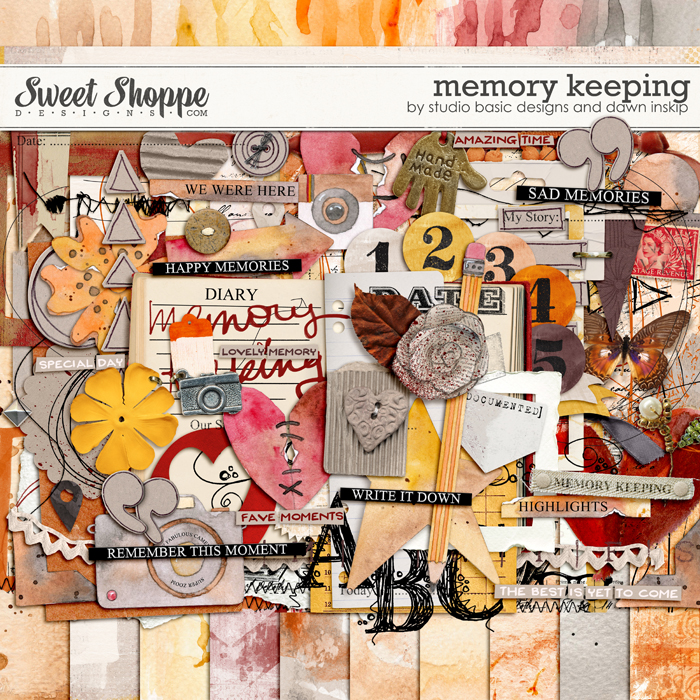 4sbasic_dinskip_memorykeeping01