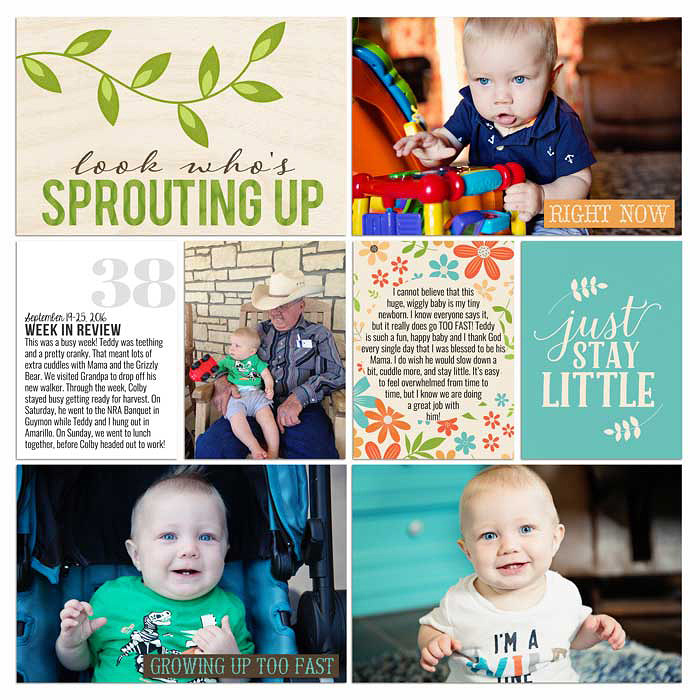 4sm2016-10-19-week38-left