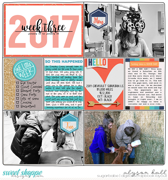 5-2017-Week-3A-WEB-WM