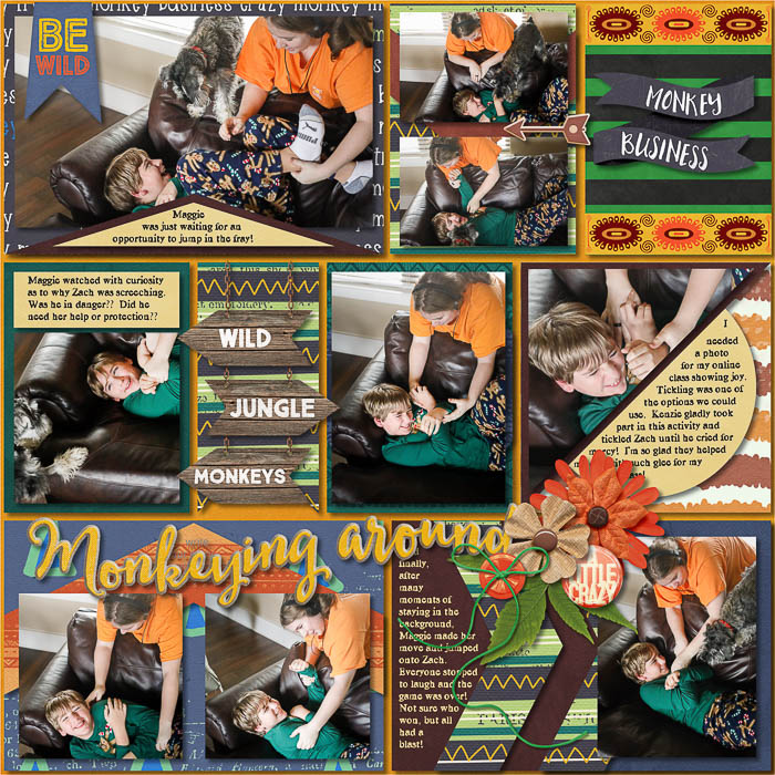 5Robin_Monkey_Business_SSD