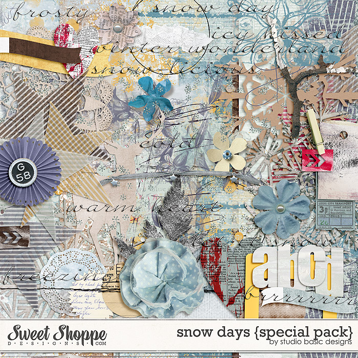5sbasic_snowdays01