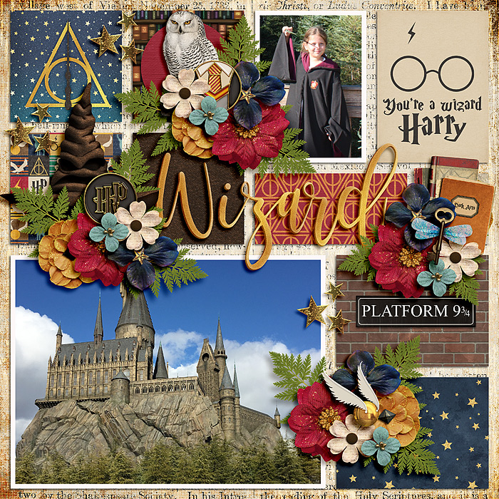 6HarryPotterUniversal_SSD_mrsashbaugh