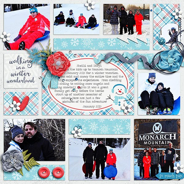 6Monarch-Winter-600