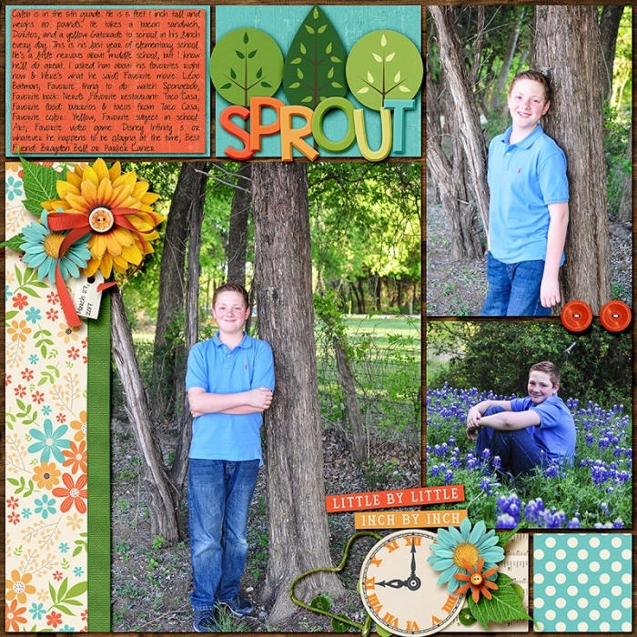 7-Bluebonnets-right