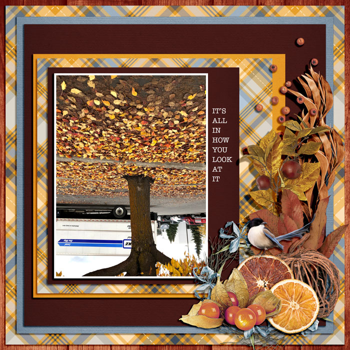 It's All In How You Look At It by Jan Merkley
