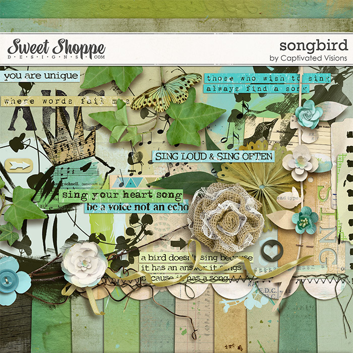 7cvisions-songbird