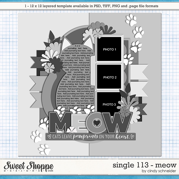 8-cschneider-single113-preview