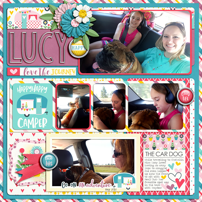 8Amie-car-dog-sdd