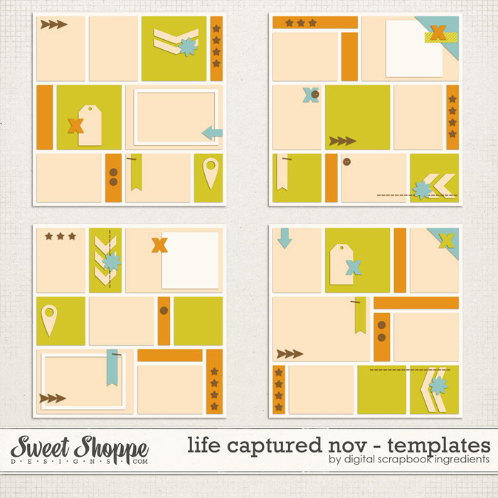 8DSI_LifeCapturedNOV_Templates