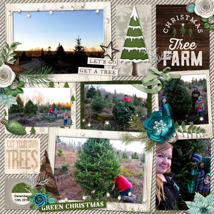 8treefarm