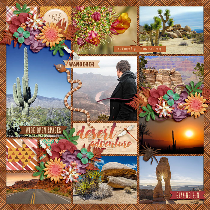 9DSI-TD-desert-adventure-20May