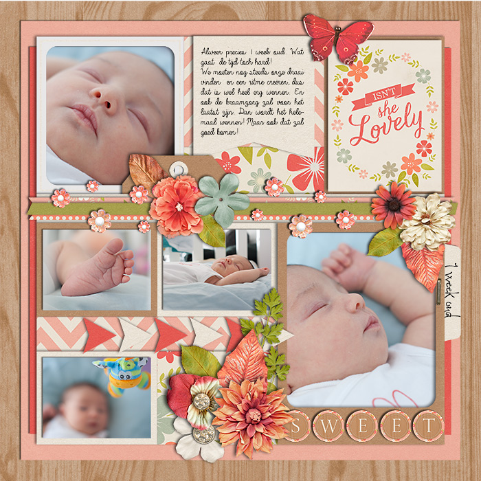 9FioontjeBig_Or_Little_Small
