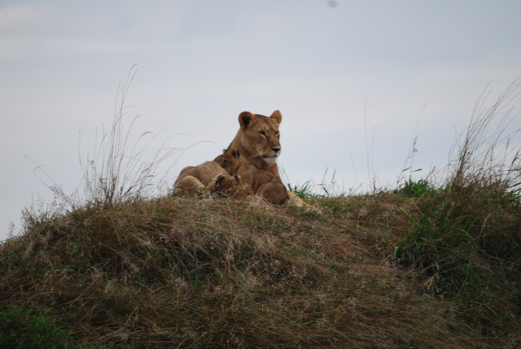 Africa (203 of 692)