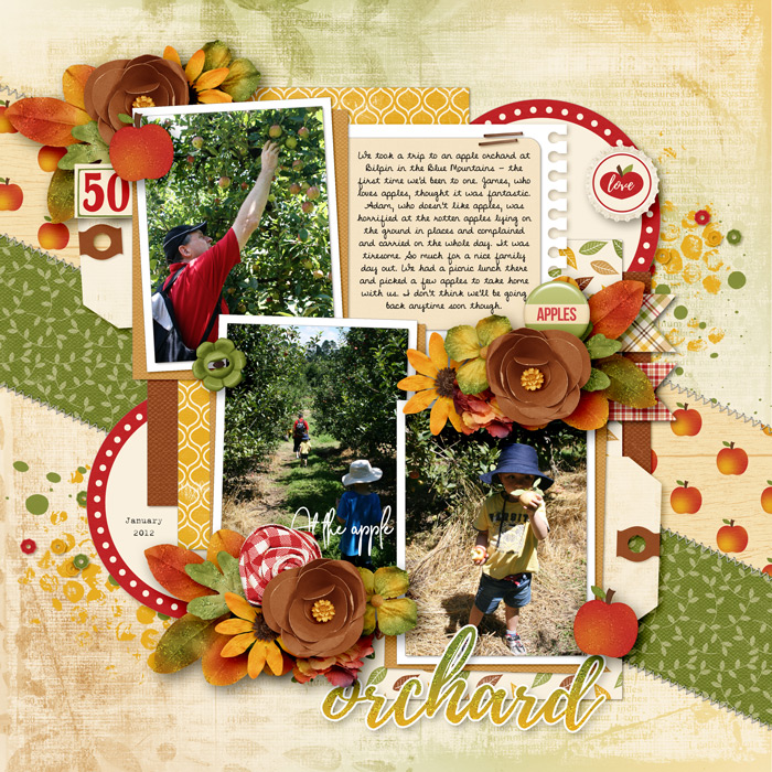 At-the-apple-orchard