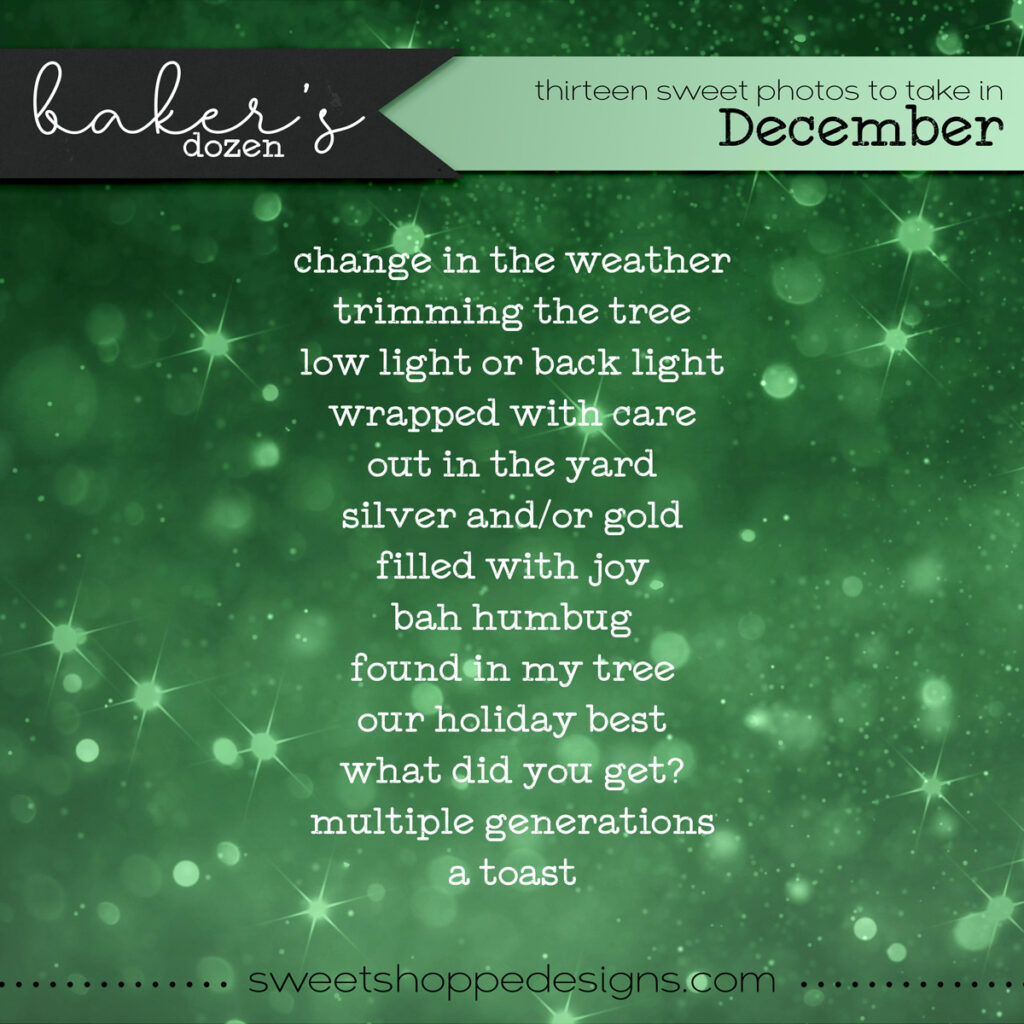 BakersDozen-December-1024x1024.jpg