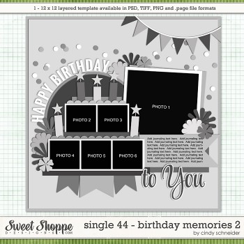 Birthday Memories 2 by Cindy Schneider