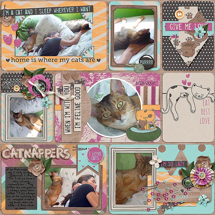 CatNappers_LRaeWoo