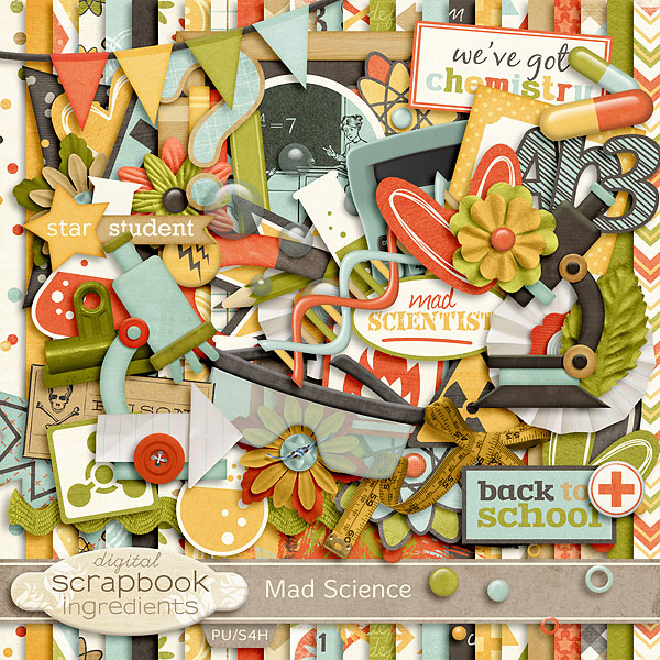 DSI_MadScience